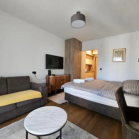 Apartament Vasilije Zlatibor