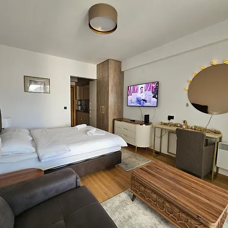 Apartament Vasilije Zlatibor